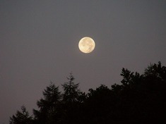2008.08.18-04