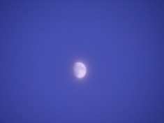 2008.09.11-32