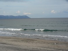 2009.03.01-02