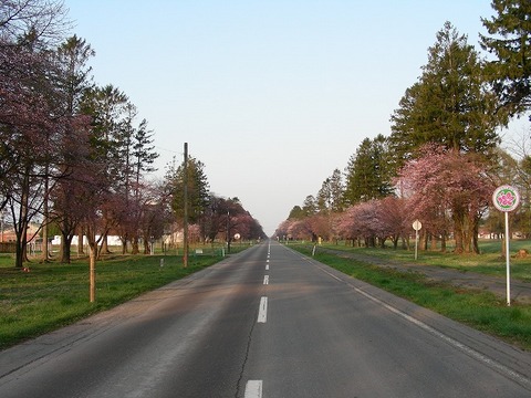 s-DSCN3982.jpg