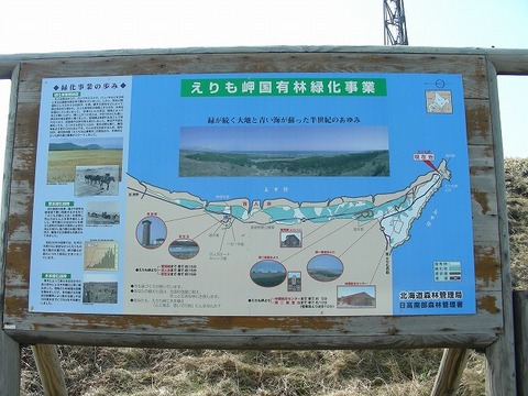 s-DSCN4036.jpg