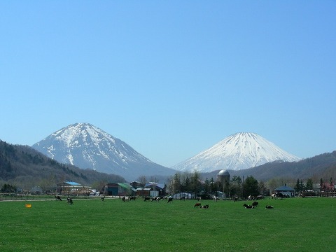 s-DSCN4253.jpg