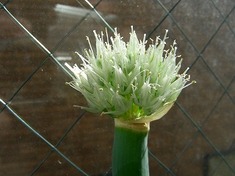 2009.05.19-01