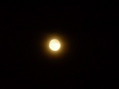 s-DSCN5253.jpg