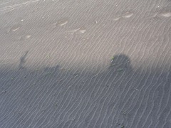 2008.05.02-04