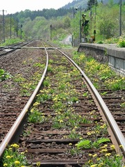 2008.05.06-04