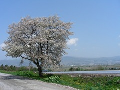 2008.05.06-18